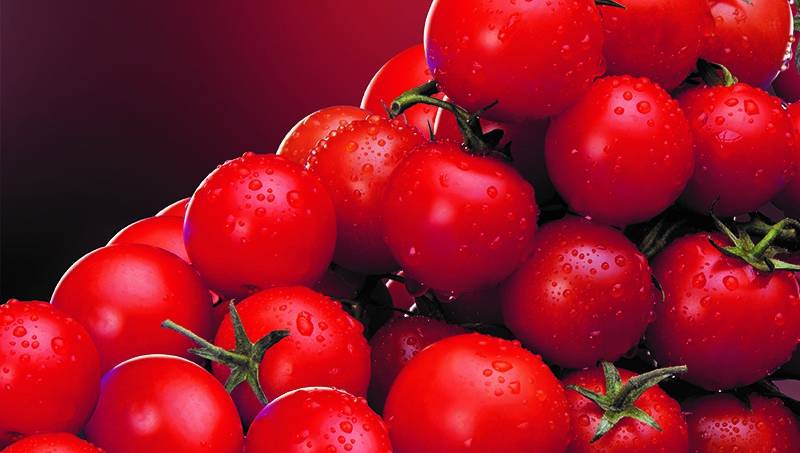 Секс қызы мен әкесі